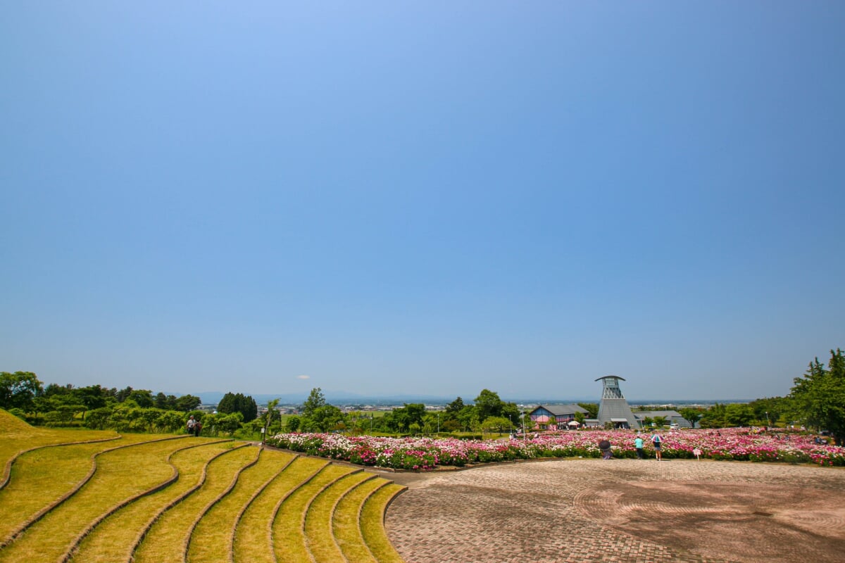 愛宕山公園の写真 