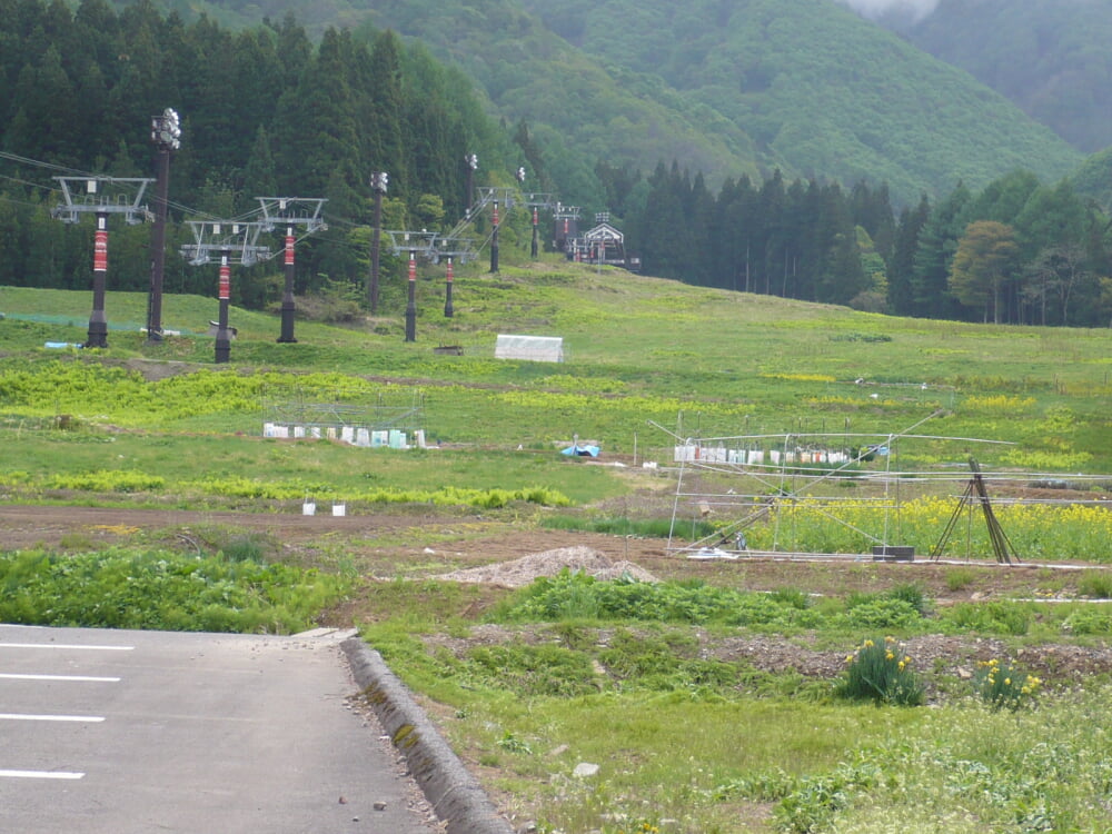 野沢温泉スキー場の写真 ©mapplefan8(CC BY-SA 3.0)
