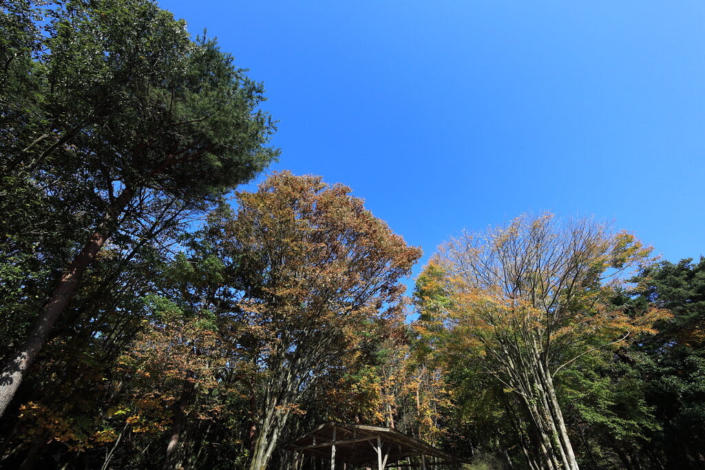 赤城自然園の写真 ©TANAKA+Juuyoh+%28%E7%94%B0%E4%B8%AD%E5%8D%81%E6%B4%8B%29(CC BY 2.0)