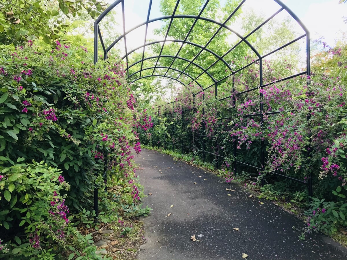 道南四季の杜公園の写真 
