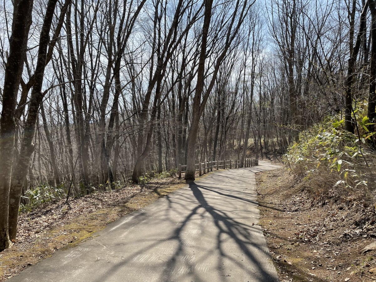 道南四季の杜公園の写真 