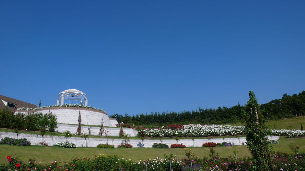 かのやばら園の写真 ©yuko from Kagoshima, Japan(CC BY 2.0)