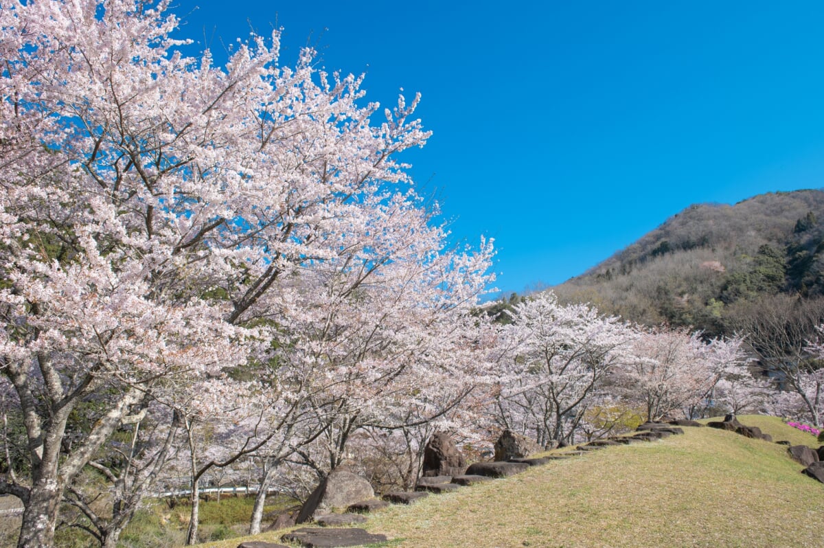 耶馬溪ダム記念公園の写真 