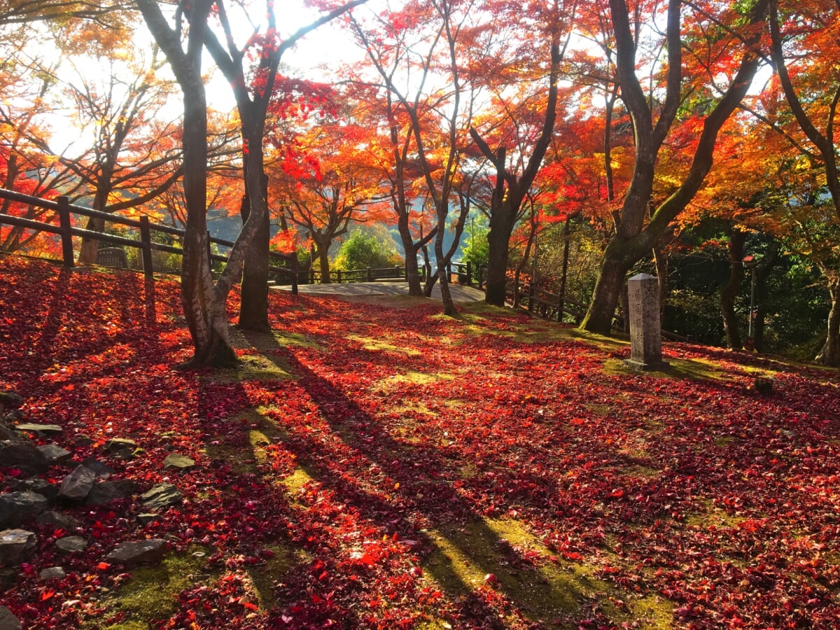 尾関山公園の写真 