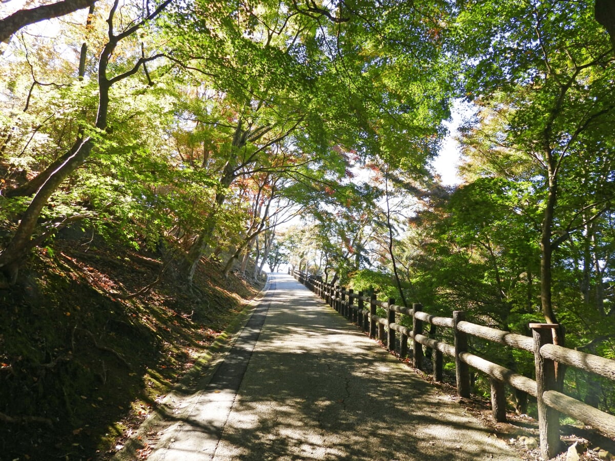 尾関山公園の写真 