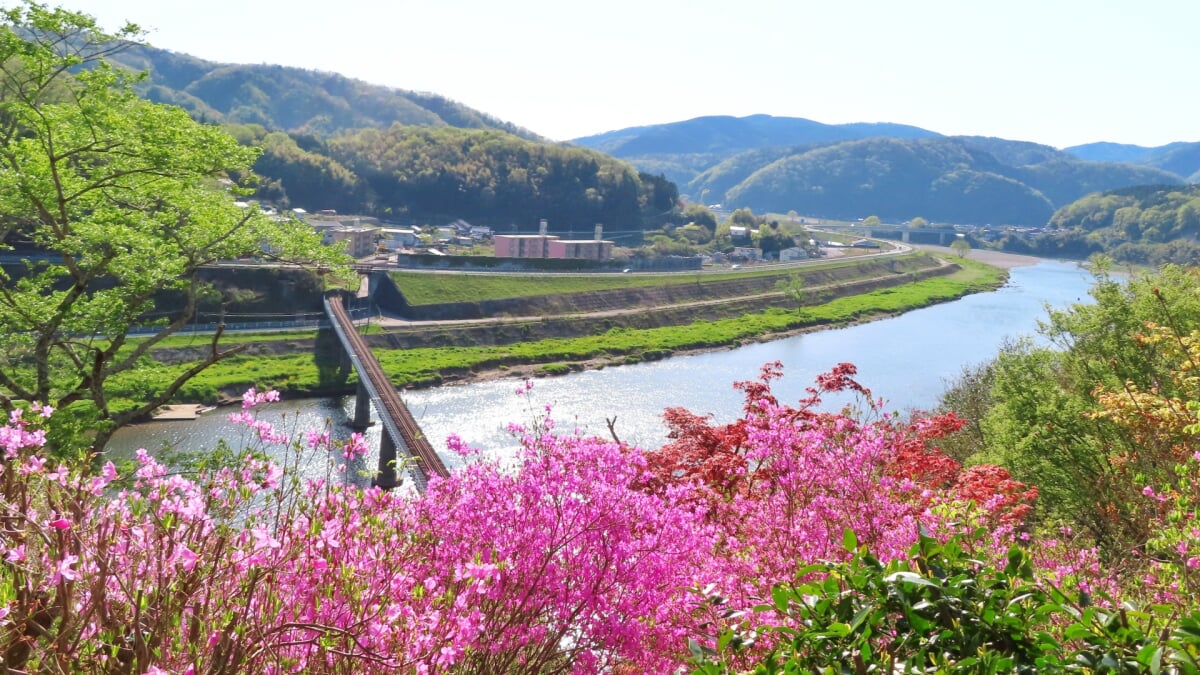 尾関山公園の写真 