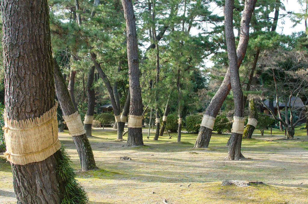 岡山後楽園の写真 ©cotaro70s(CC BY-ND 2.0)