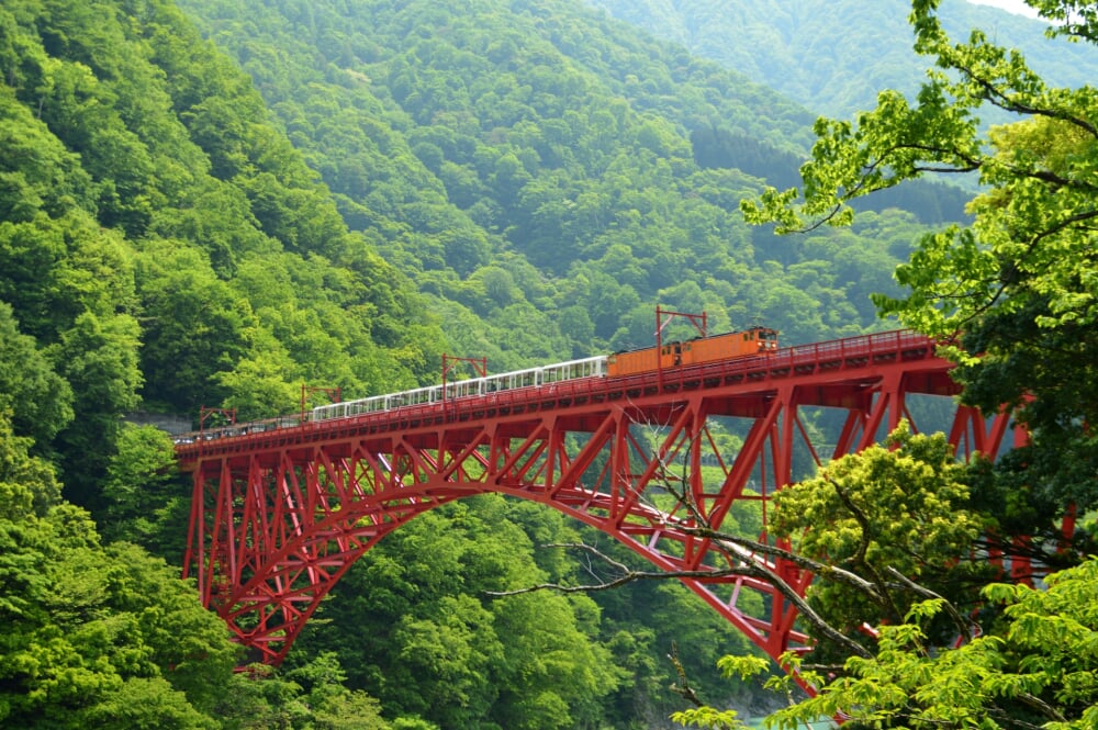 立山黒部アルペンルートの写真 