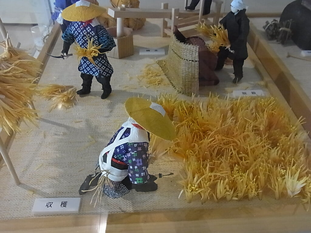東京農業大学「食と農」の博物館の写真 ©urasimaru(CC BY-SA 2.0)
