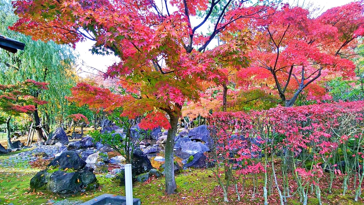 新潟県立鳥屋野潟公園 女池地区・鐘木地区の写真 