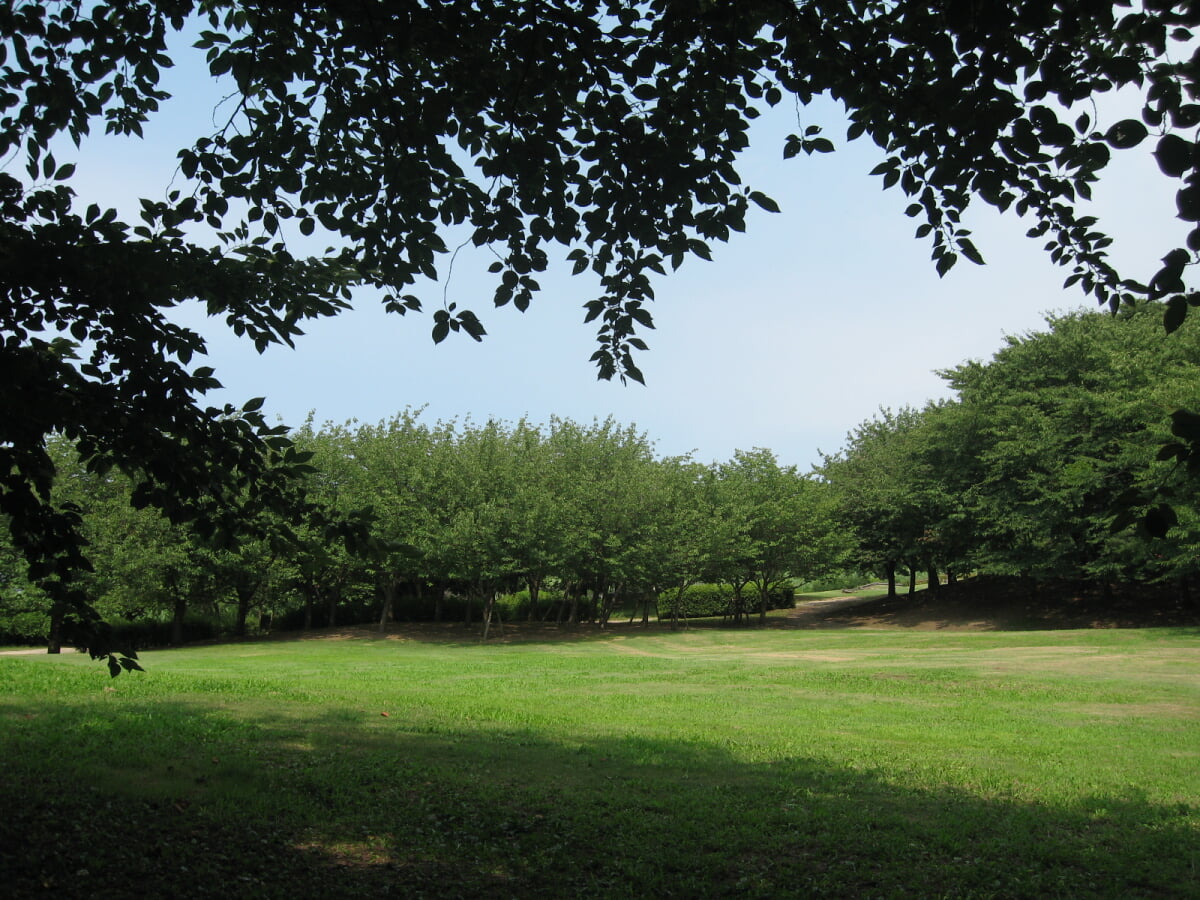 新潟県立鳥屋野潟公園 女池地区・鐘木地区の写真 ©DAI-nk(CC BY-SA 3.0)
