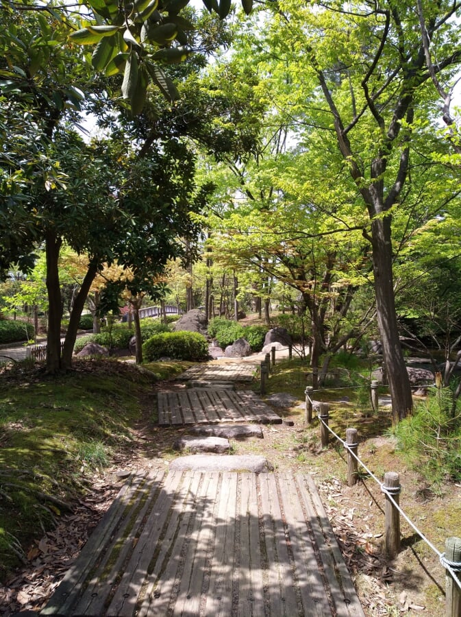 新潟県立鳥屋野潟公園 女池地区・鐘木地区の写真 