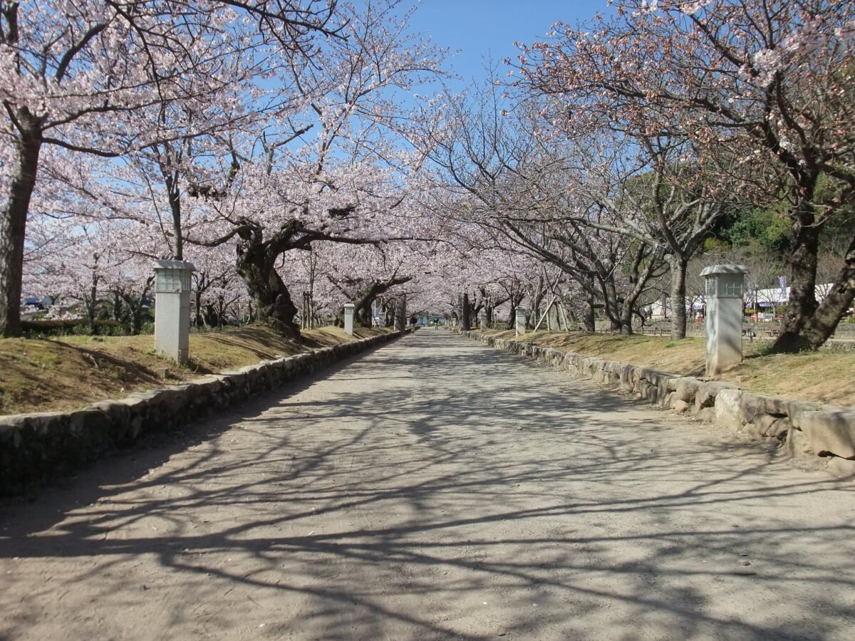 大村公園 玖島城跡の写真 ©sk01(CC BY-SA 3.0)