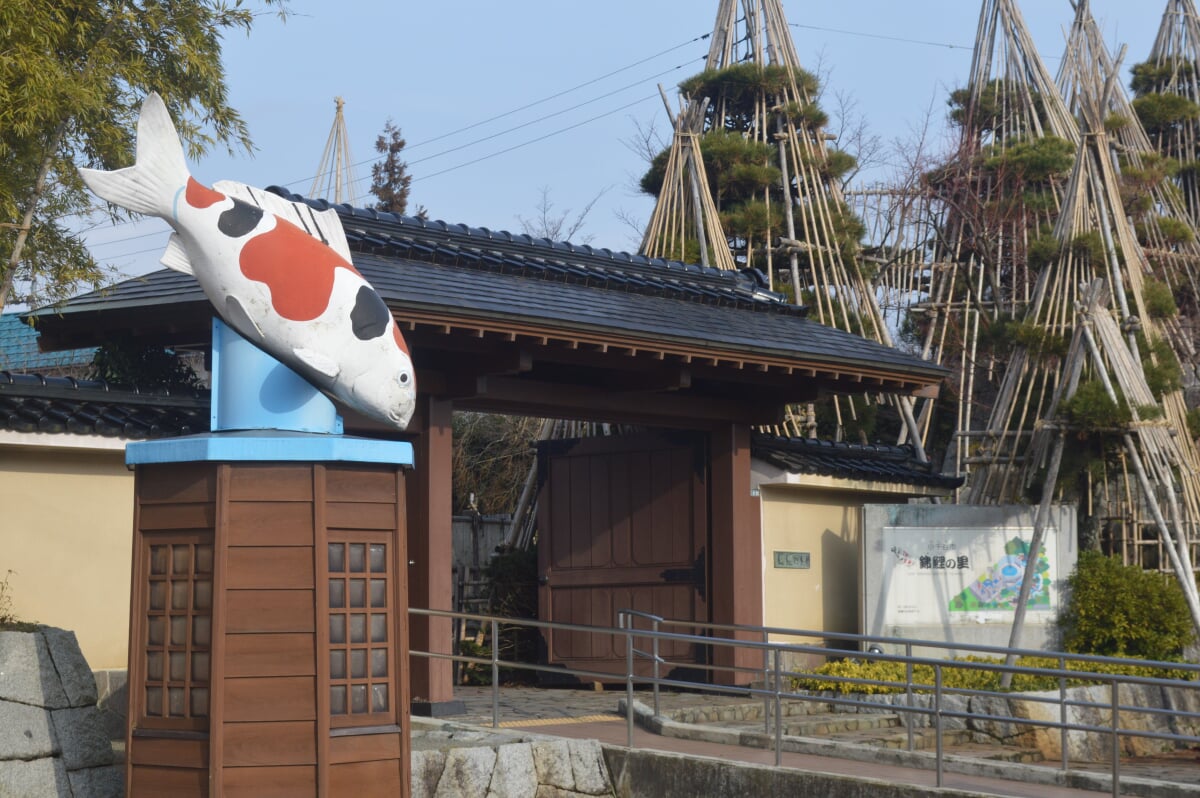 小千谷市錦鯉の里の写真 ©Asturio(CC BY-SA 4.0)