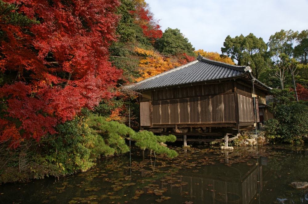 聚遠亭の写真 ©663highland(CC-BY-SA-3.0)