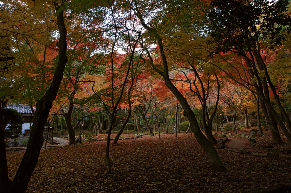 聚遠亭の写真 ©663highland(CC-BY-SA-3.0)