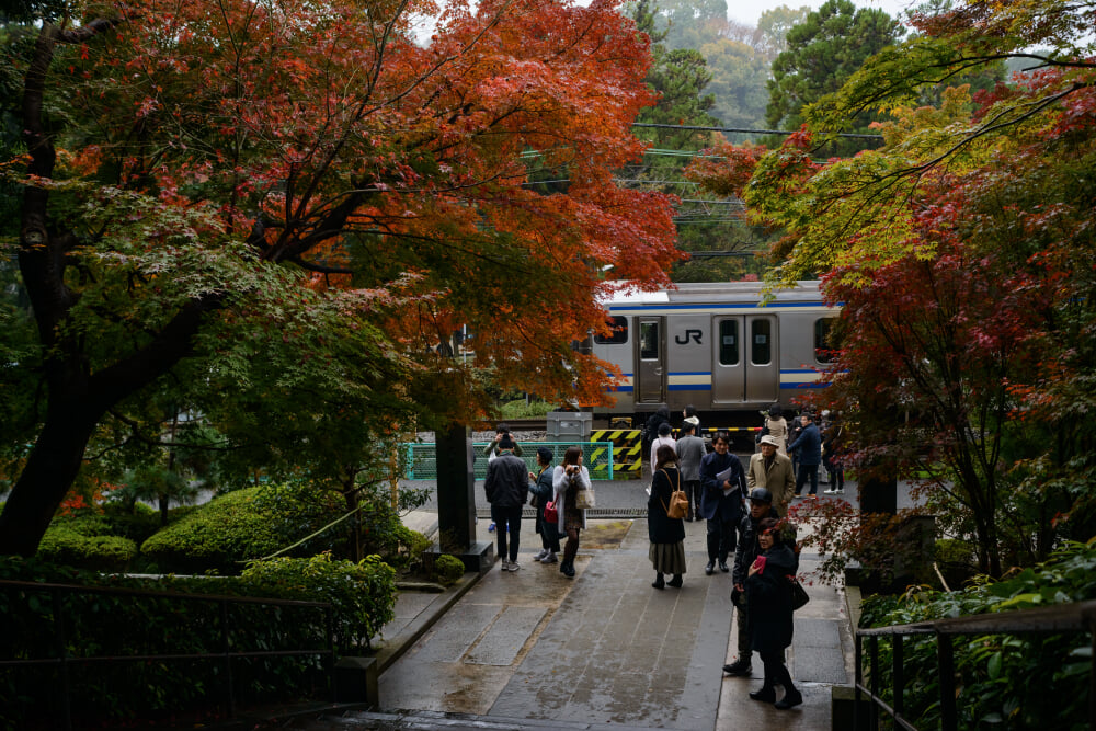 円覚寺の写真 ©Artemas Liu from Taipei, Taiwan(CC BY 2.0)