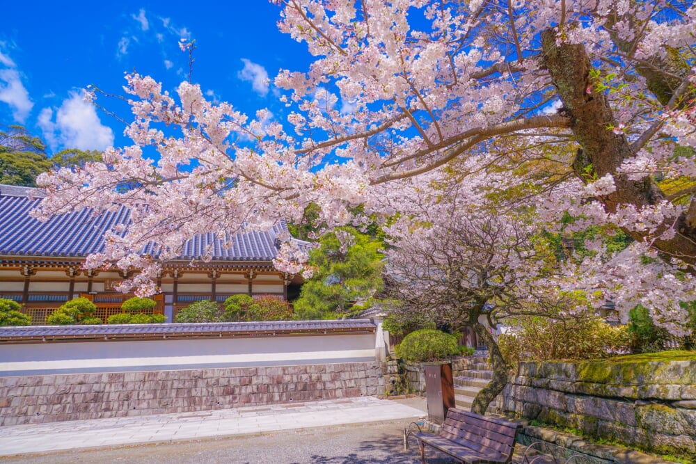円覚寺の写真 