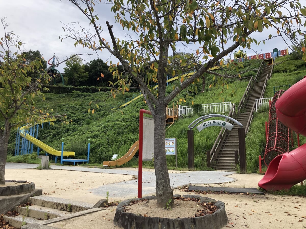 月の丘公園の写真 
