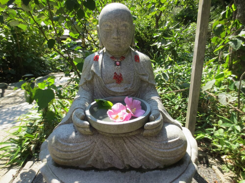 明月院の写真 