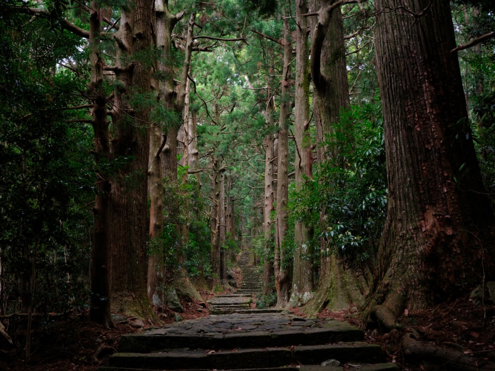 熊野古道の写真 