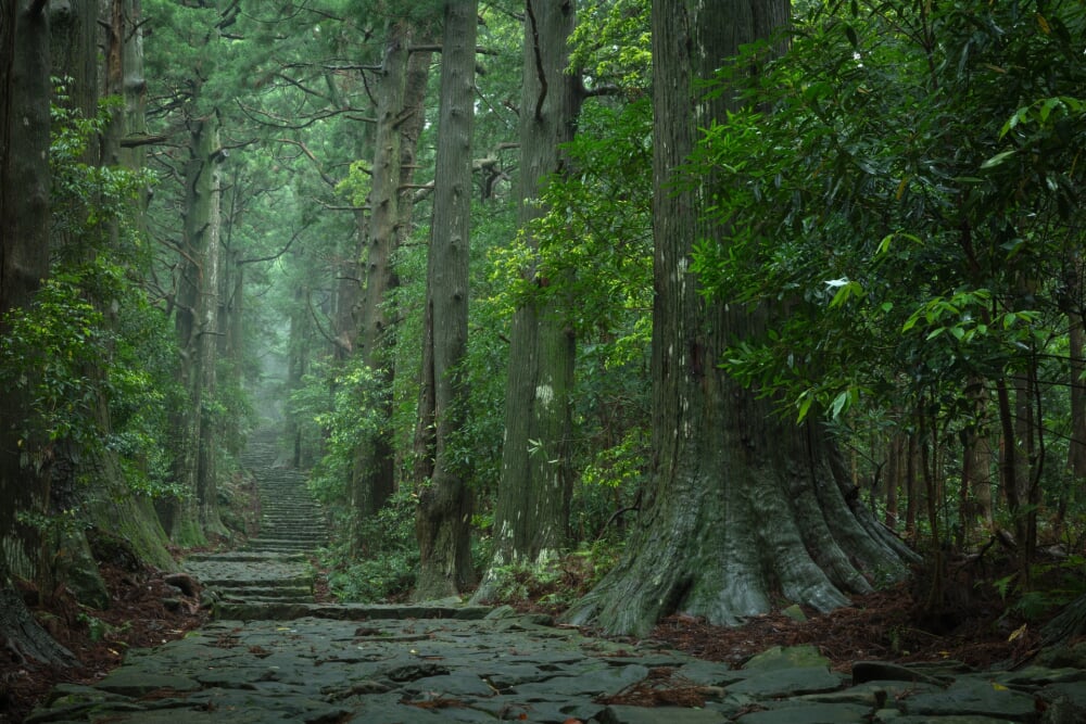 熊野古道の写真 