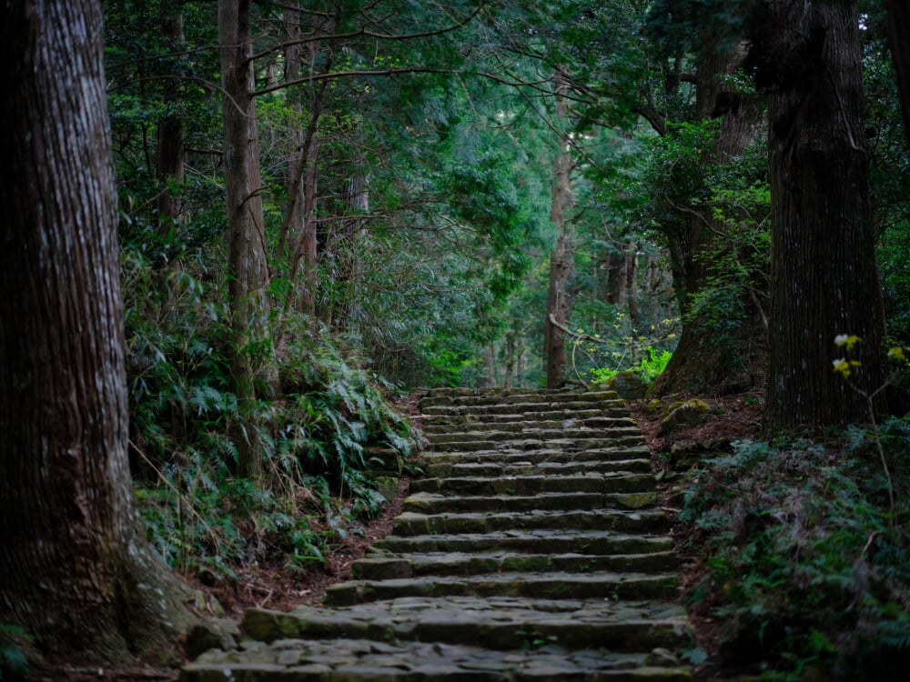 熊野古道の写真 