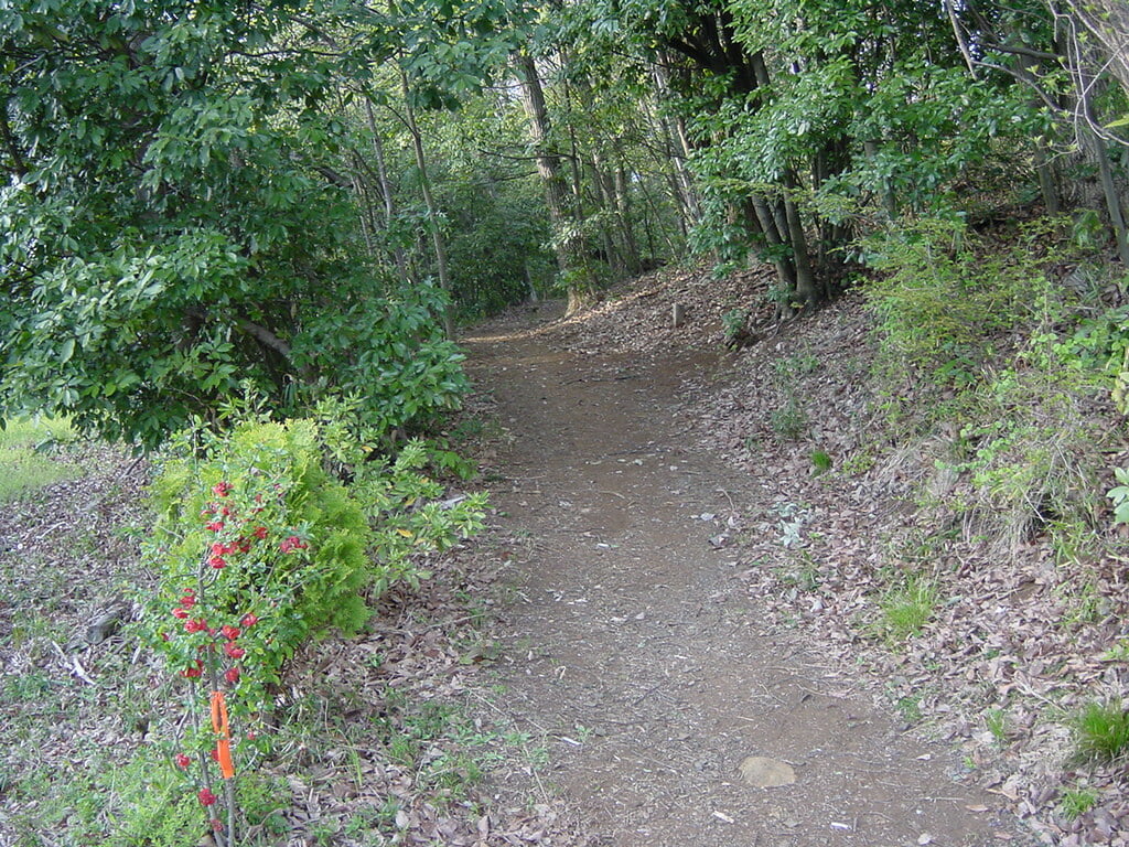 李山丹南山神 トトロの森の写真 ©odysseygate(CC BY-SA 2.0)