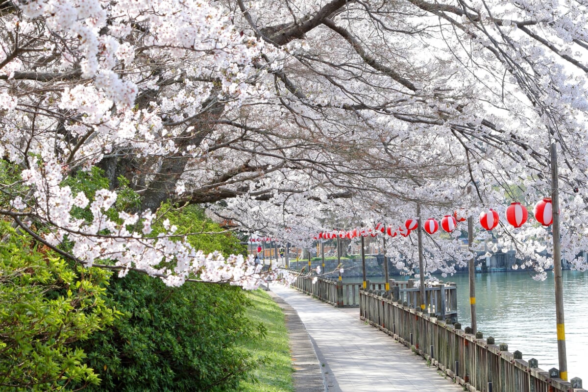 酒津公園の写真 