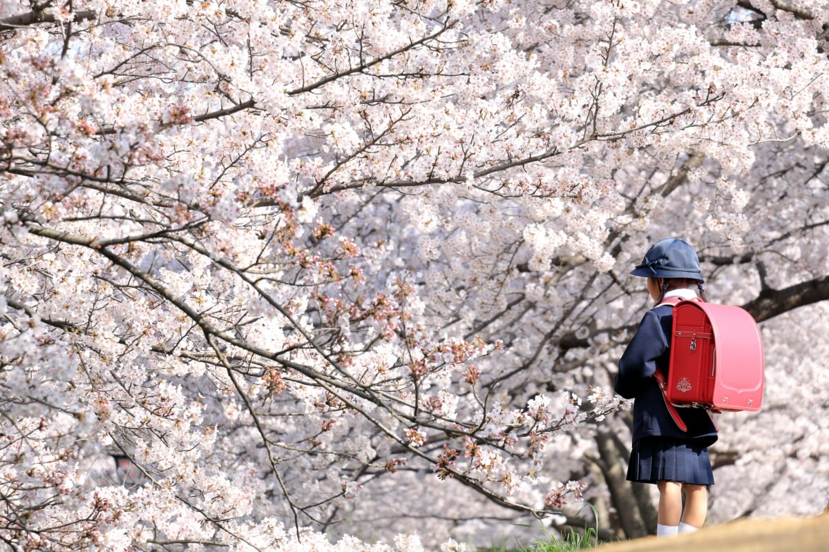 酒津公園の写真 