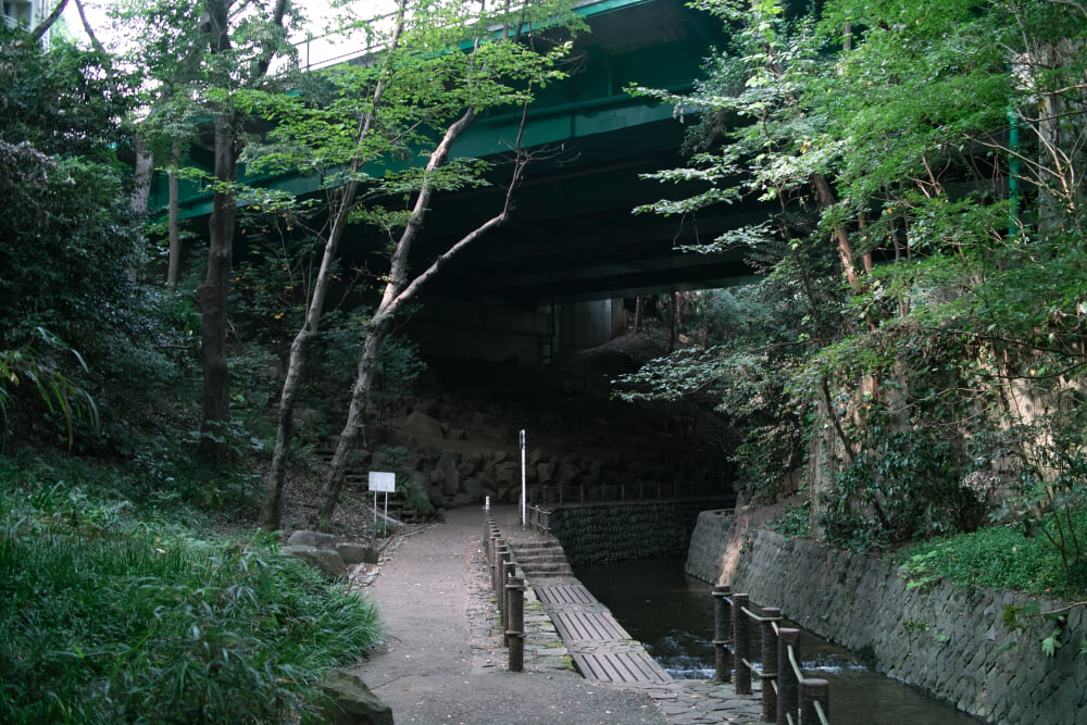 等々力不動尊の写真 ©珈琲牛乳(CC BY 3.0)