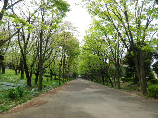 鶴間公園の写真 ©machiro(CC BY-SA 3.0)