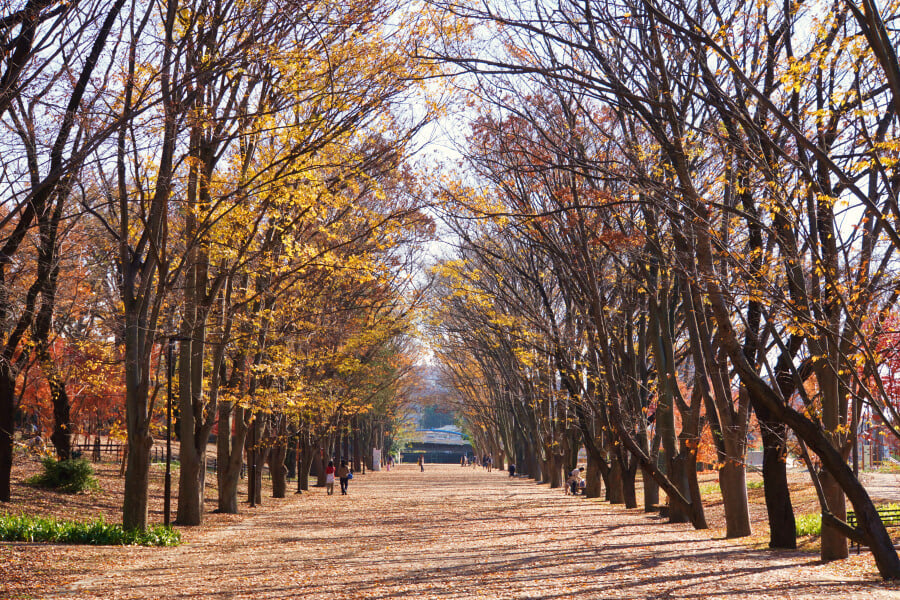 鶴間公園の写真 ©machiro(CC BY-SA 3.0)