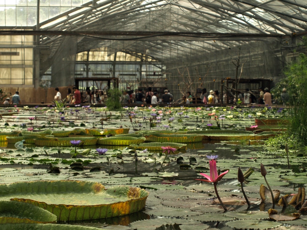 掛川花鳥園の写真 ©merec0(CC BY 2.0)