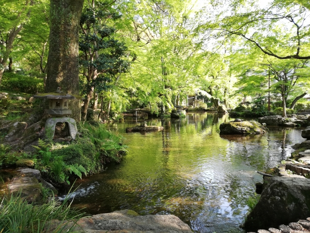 岐阜公園の写真 