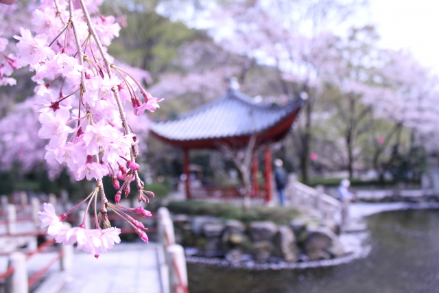 岐阜公園の写真 