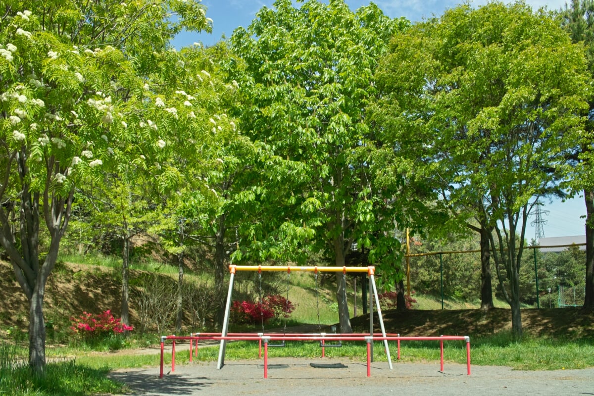 西桔梗公園の写真 