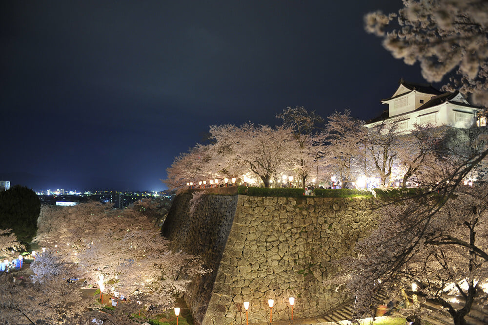 津山城 鶴山公園の写真 ©津山市立図書館 Public Library of Tsuyama(CC BY 2.0)