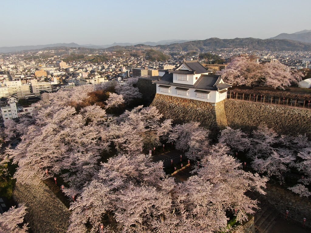 津山城 鶴山公園の写真 ©津山市立図書館 Public Library of Tsuyama(CC BY 2.0)