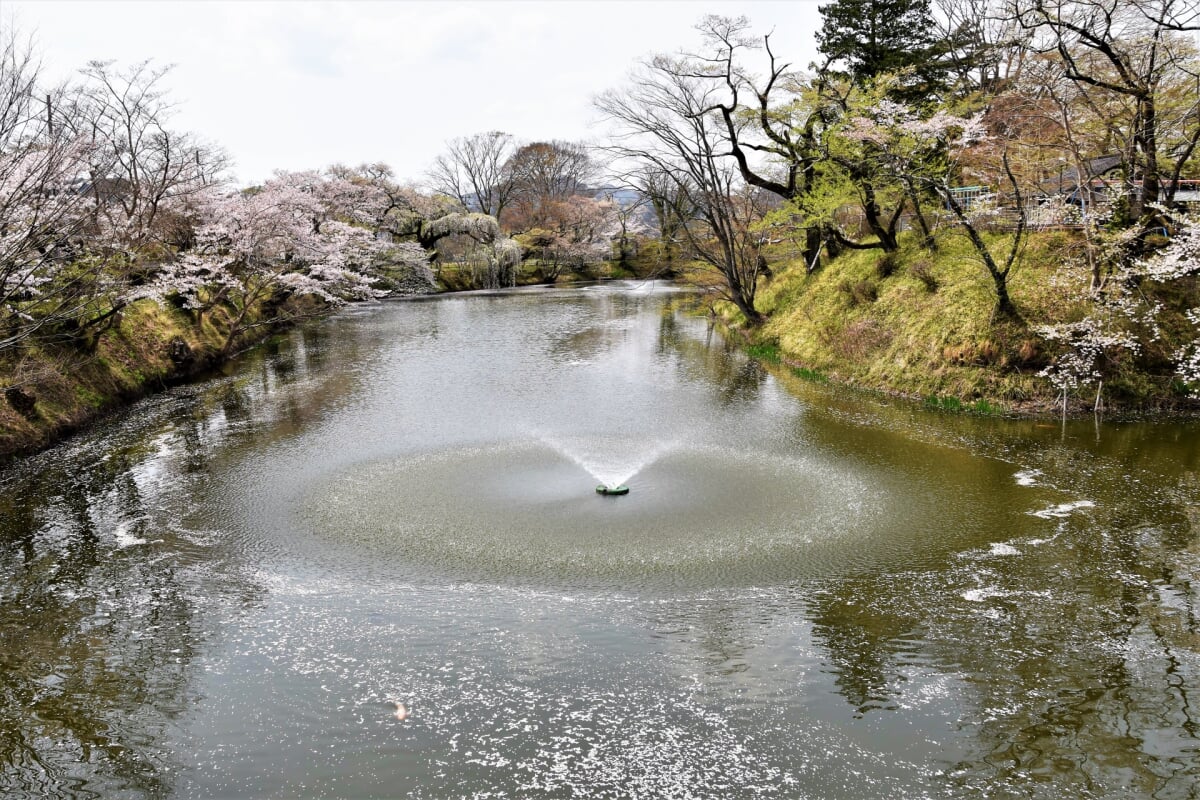 亀ケ城公園の写真 