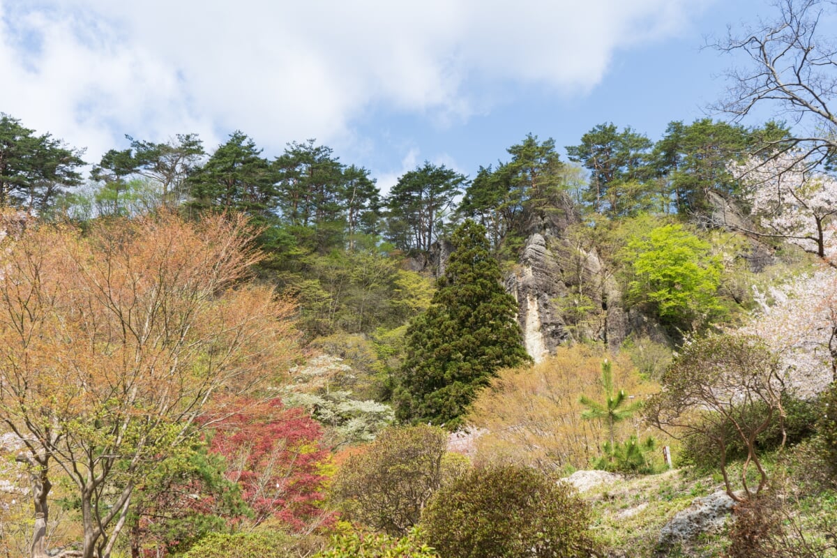 きみまち阪県立自然公園の写真 