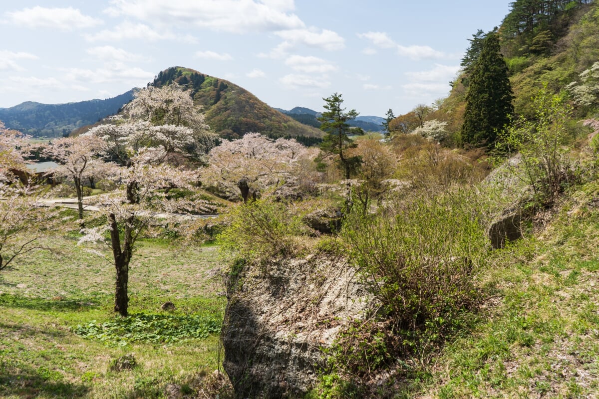 きみまち阪県立自然公園の写真 