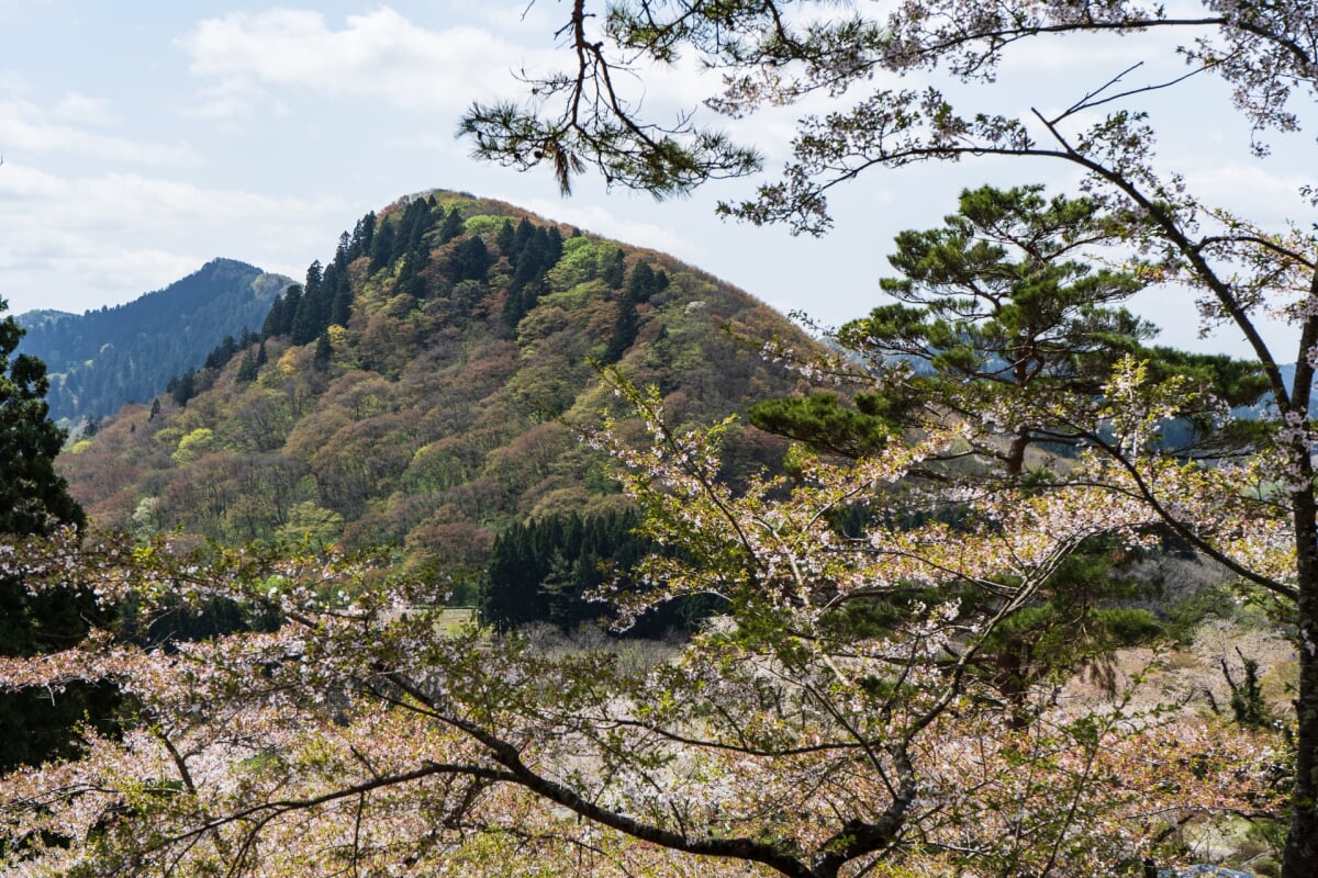 きみまち阪県立自然公園の写真 