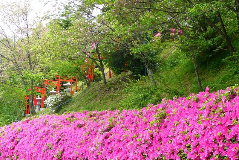 安倍文殊院の写真 ©lynn_cyc(CC BY 2.0)