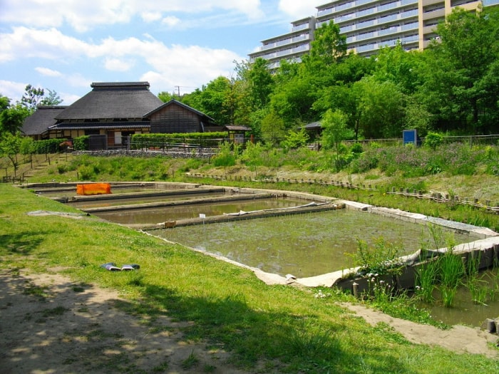赤羽自然観察公園の写真 ©あばさー(PublicDomain)