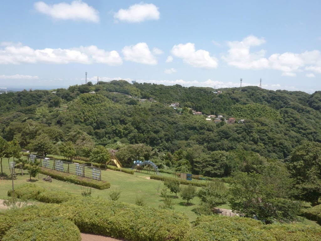 田浦梅の里の写真 ©Quercus(CC BY-SA 4.0)