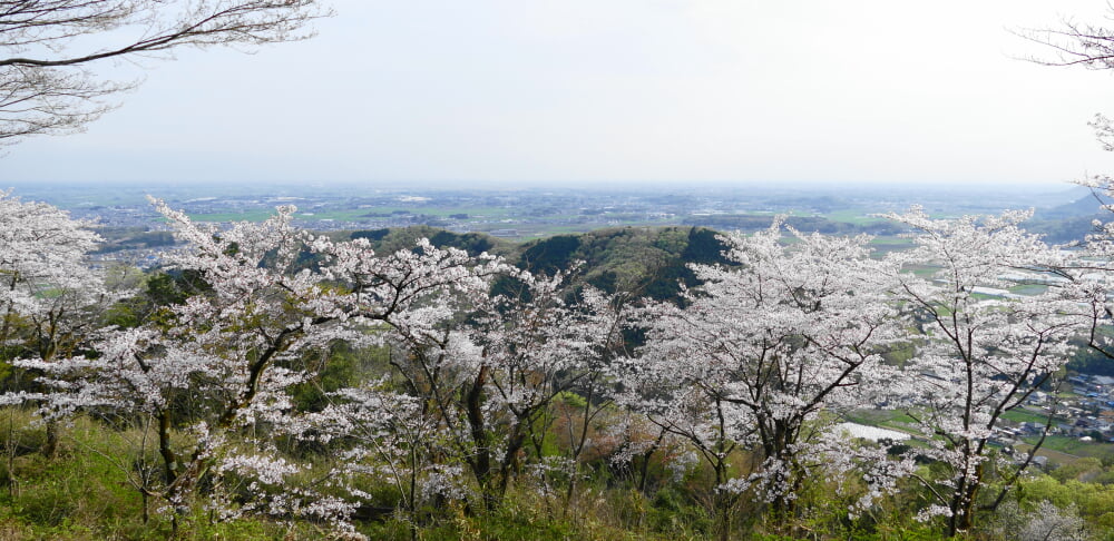 太平山県立自然公園の写真 ©アラツク(CC BY-SA 4.0)