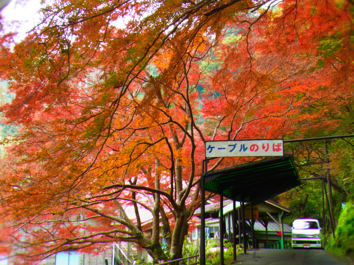 吉野山ロープウェイの写真 ©Nankou Oronain (as36…(CC BY-SA 3.0)