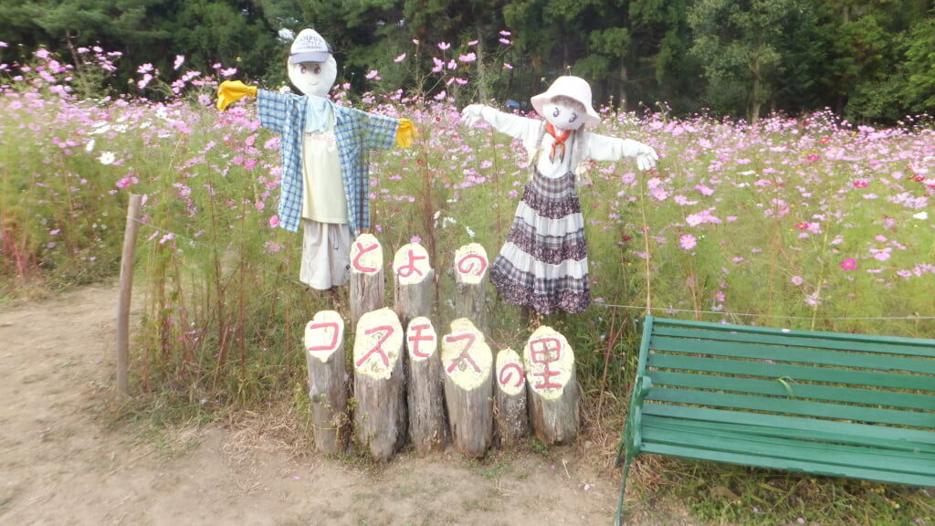 とよのコスモスの里の写真 ©Mti(CC BY-SA 4.0)