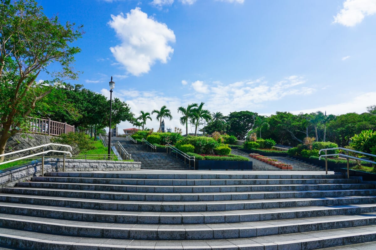 熱帯・亜熱帯都市緑化植物園の写真 